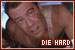 Affiliate: Die Hard