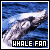 Whales